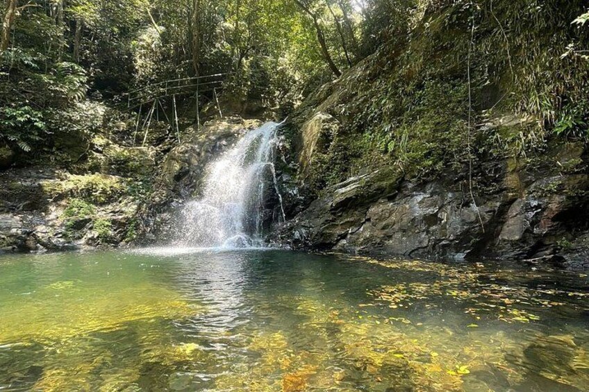A waterfall in a forested area with clear water and surrounding greenery. 2