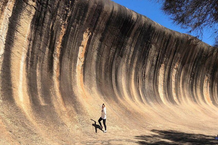 A person standing on a large sand dune with a dog. 3