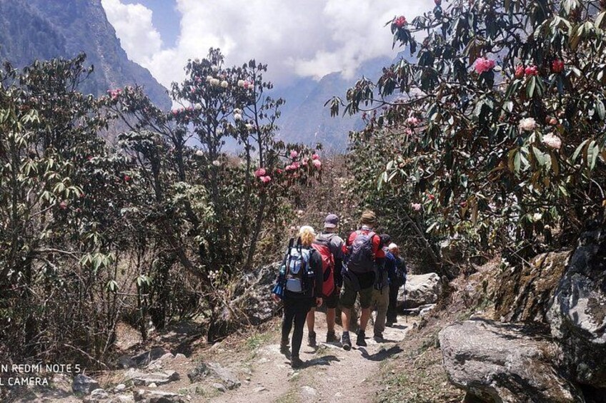 A group of hikers on a rocky trail surrounded by dense vegetation and mountains in the background. 2