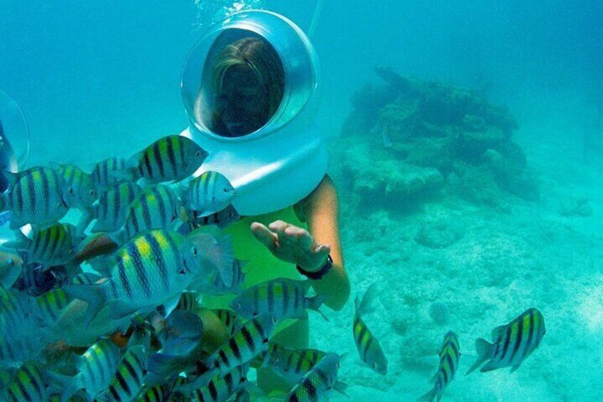 A diver surrounded by striped fish in clear blue water. 3