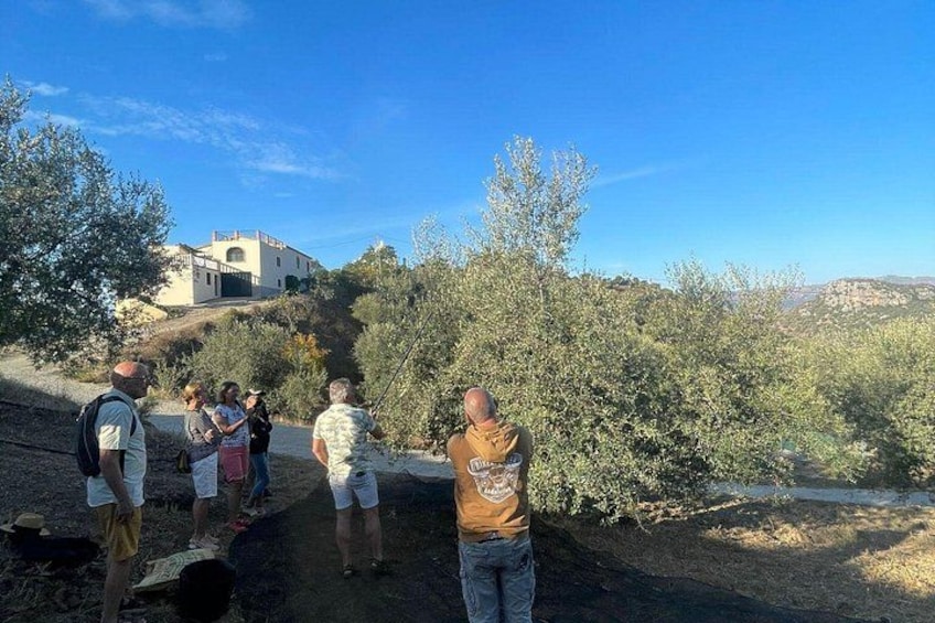 A group of people walking on a dirt path surrounded by greenery and a building in the background. 5