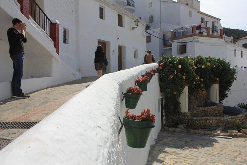 White Villages Tour in the Nerja area: Small-Group Tour and Lunch 4