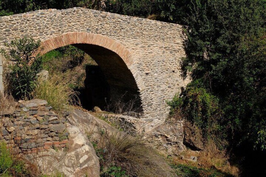 White Villages Tour in the Nerja area: Small-Group Tour and Lunch 5