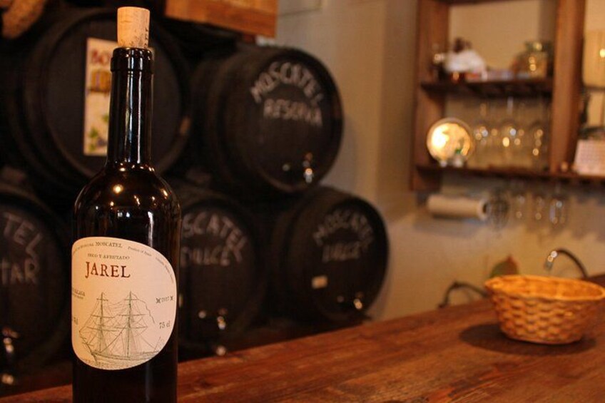 Sun and Wine Route - Small group, wine tasting and tapas included 4
