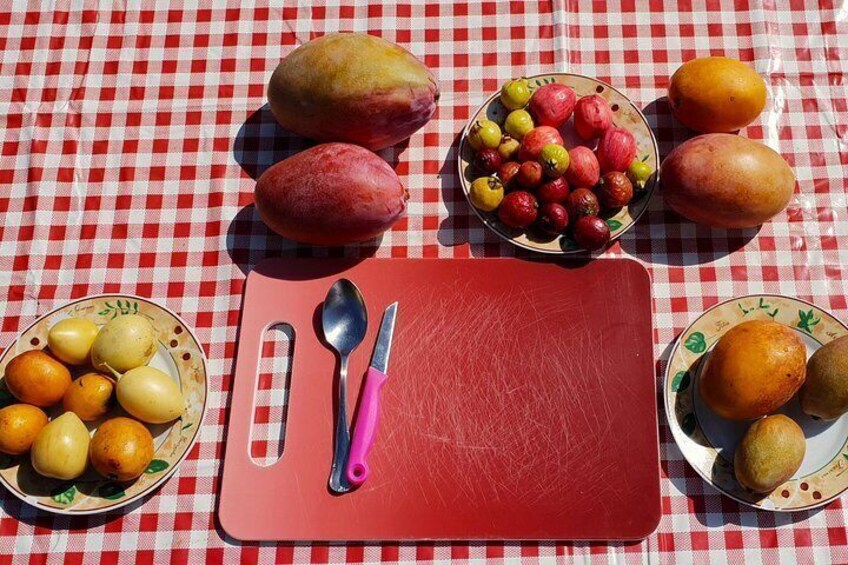 A red cutting board with a spoon and knife, surrounded by bowls of fruits including mangoes, apples, and kiwis on a checkered tablecloth. 5