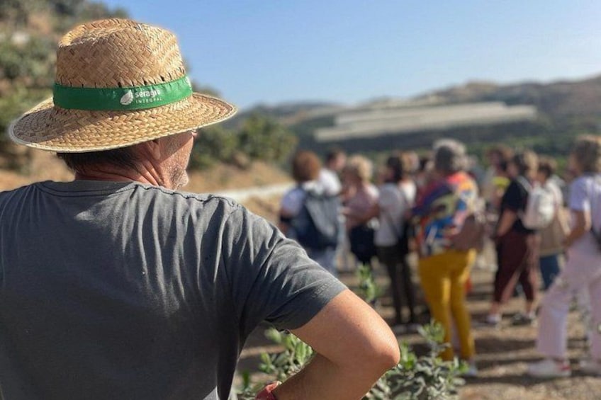 Una persona con un cappello di paglia e una t-shirt grigia, fotografata da dietro. 2