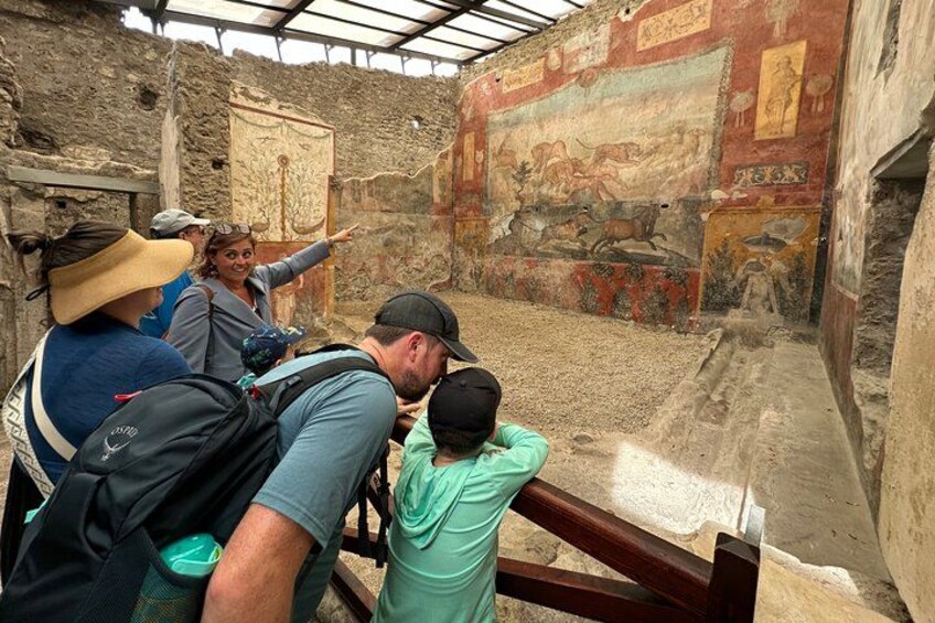 Exploring the Ancient Houses 2
