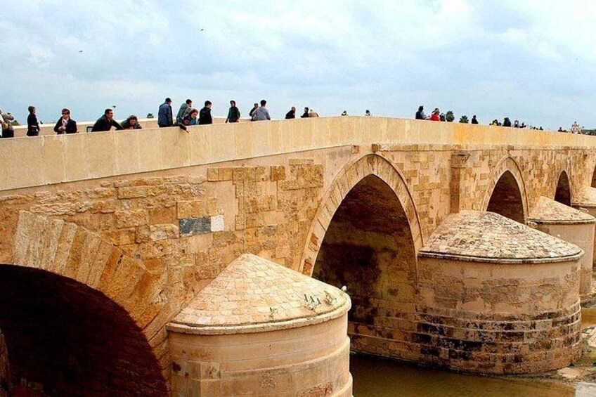 Roman Bridge in Cordoba (if you take 250 code) 2