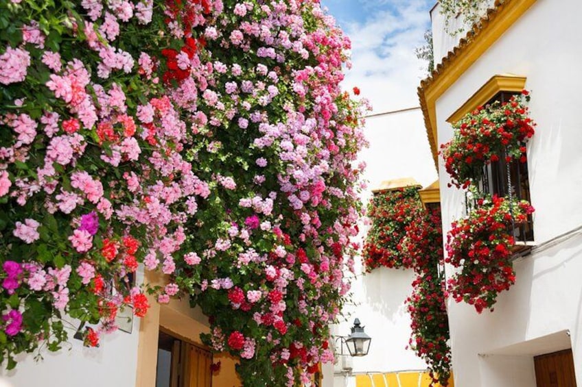 En smal gata med vita byggnader, rosa och röda blommor som hänger från balkongerna och ett gult markis. 5