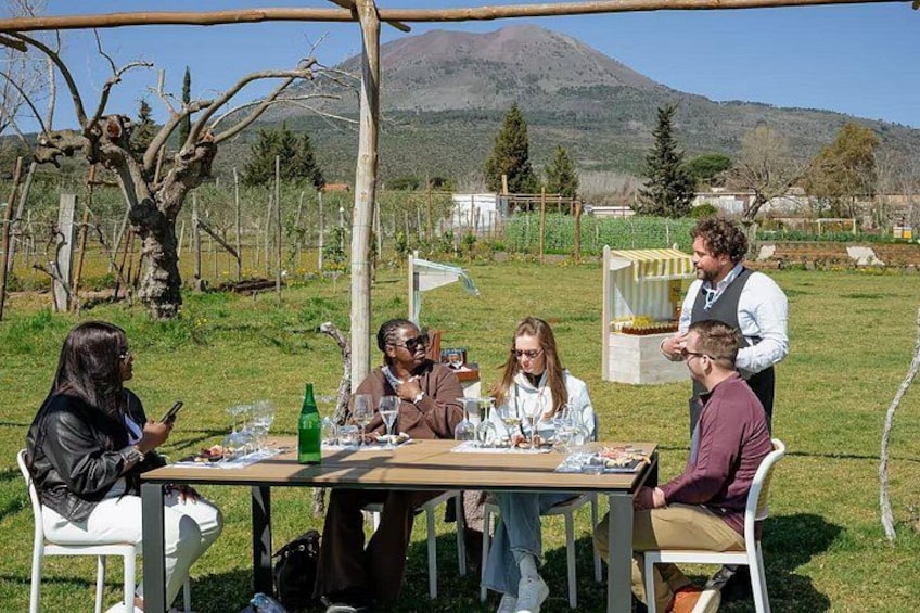 Scenic Horseback Ride, Wine Tasting & Lunch on Mt. Vesuvius 2