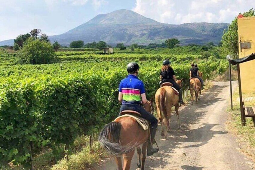 People riding horses along a dirt path through a vineyard with mountains in the background. 1