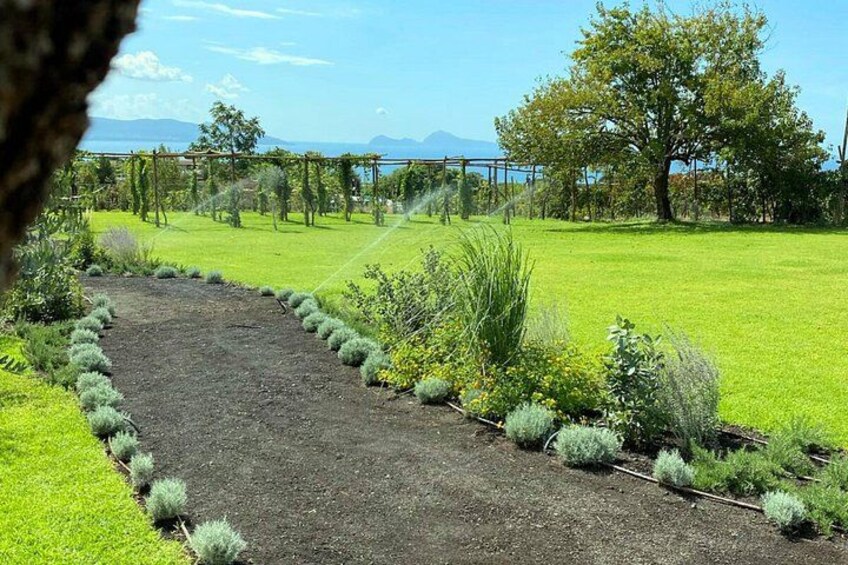 Un jardin aménagé avec un chemin de gravier, de la pelouse et divers arbustes. 2