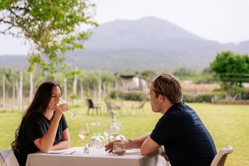 Pompeii Guided Tour & Horse Riding on Vesuvius with Lunch 4