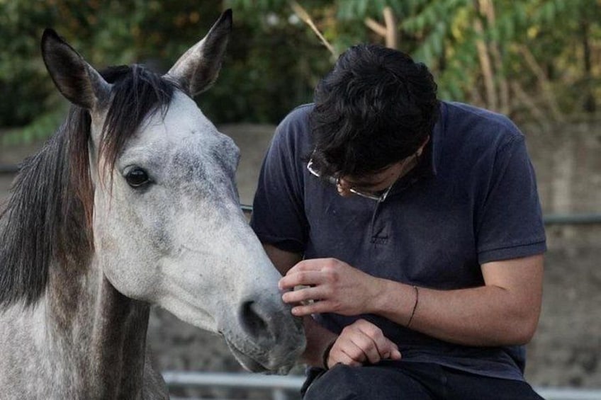 Una persona sentada junto a un caballo. 5