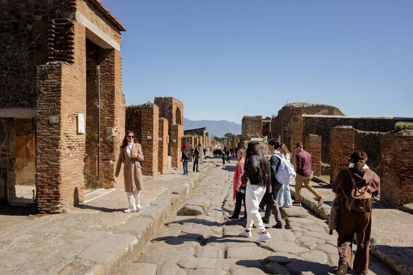 Pompeii Small Group Tour - Tickets Included 3