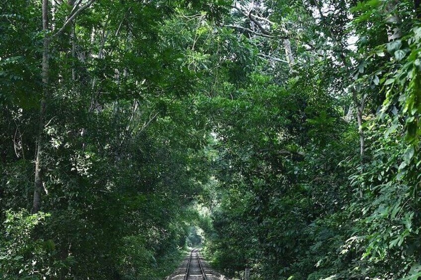 4 days Dhaka to Sylhet & Srimangal  5