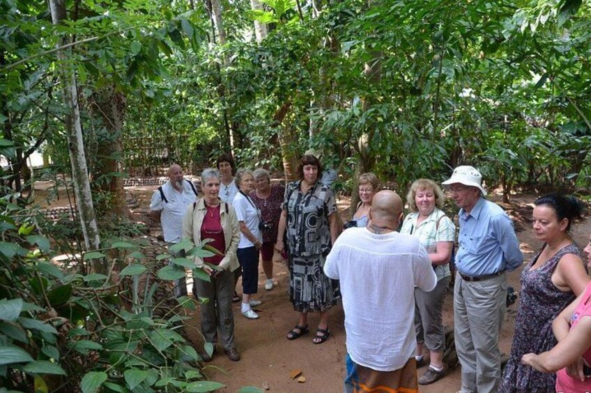 Private Galle Day Tour with Boat Safari & Tea Factory Visit - All Inclusive 2