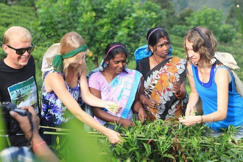 Private Galle Day Tour with Boat Safari & Tea Factory Visit - All Inclusive 1