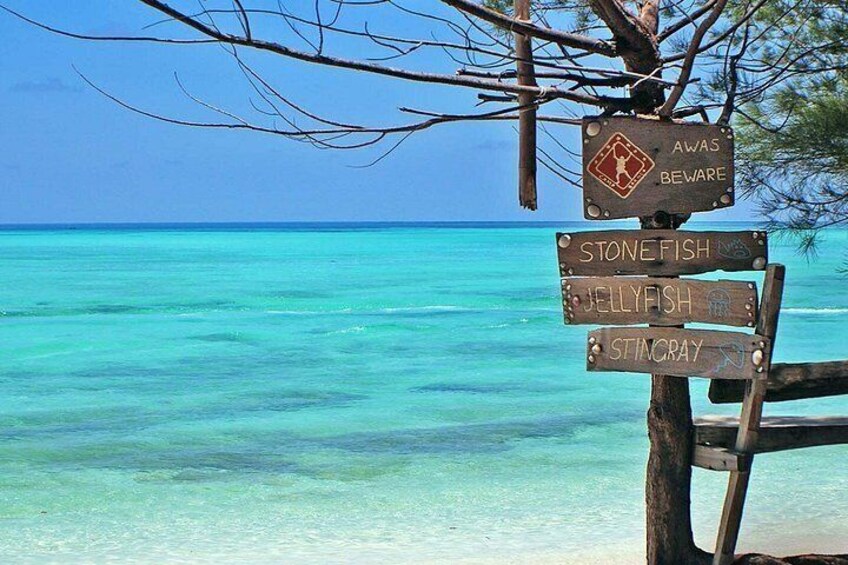 A wooden signpost with warnings and fish species names against a turquoise sea backdrop. 2