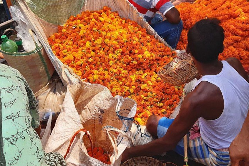 Half Day Kolkata Tour - Explore the City of Joy!
Tour de Kolkata 2