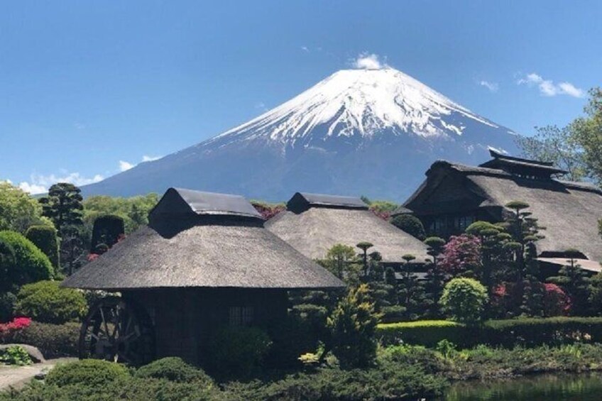 Mt.Fuji Full-Day Private Tour By Public Transportation