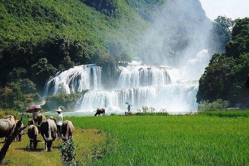 A waterfall, green field, and people with umbrellas. 2
