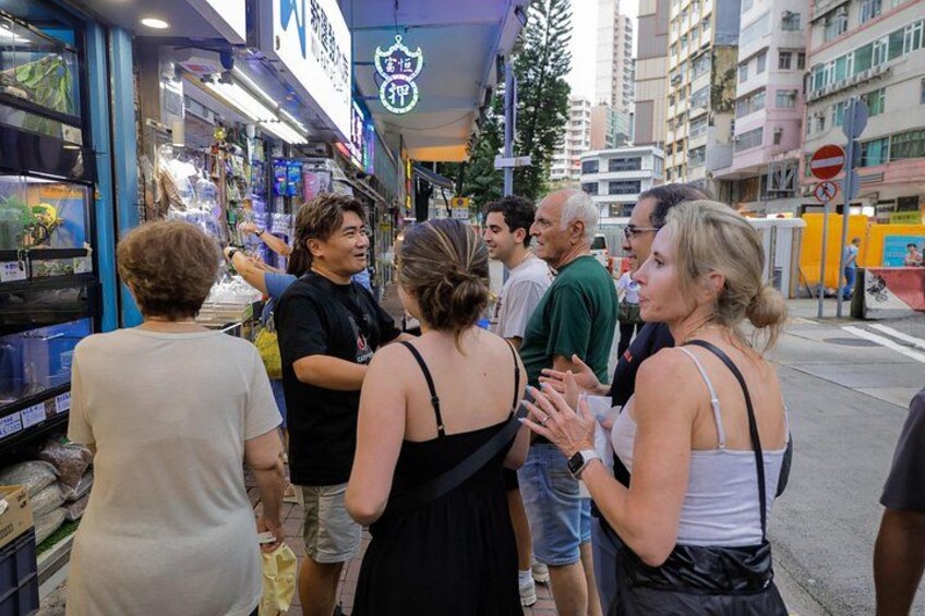 Visit the Goldfish market 4