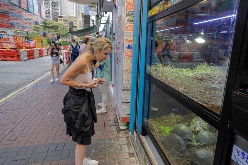 Small Group Kowloon Michelin Rated Street Food and Culture Tour 2