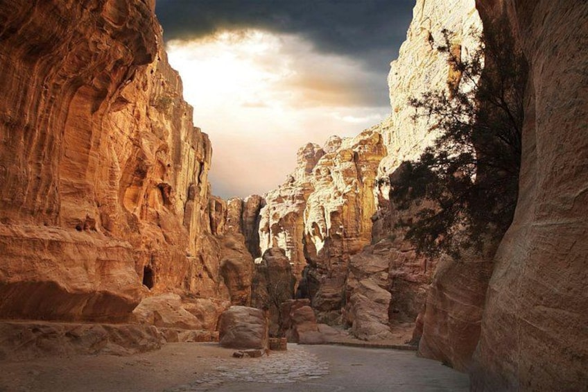 Petra Private tour from Tel Aviv 3