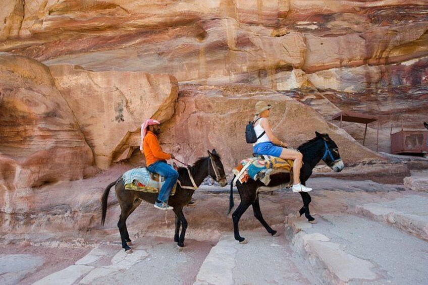 Petra Private tour from Tel Aviv 5