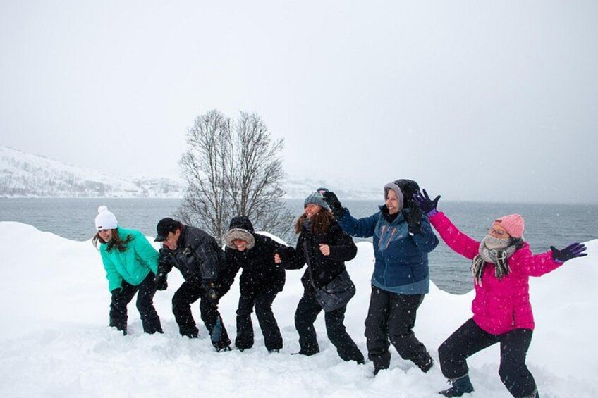 All-Inclusive Arctic Fjords and Sommarøy Scenic Tour 4