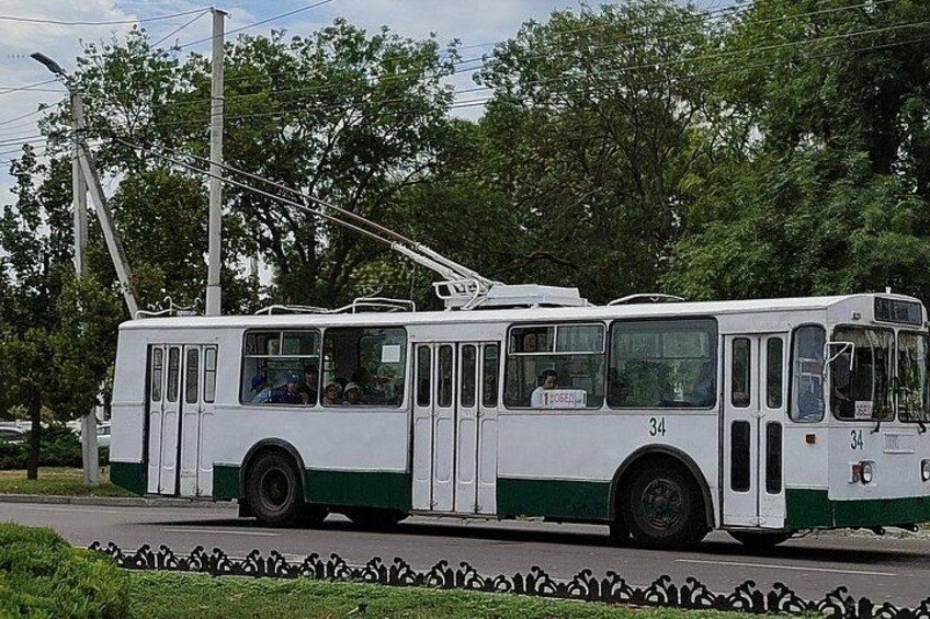 A white and green tram with the number 34 on a road, surrounded by greenery and trees. 5