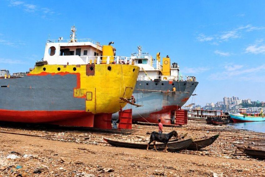 Una grande nave con lo scafo giallo e rosso, ormeggiata in un porto con altre imbarcazioni e un cane su una piccola barca nelle vicinanze. 3