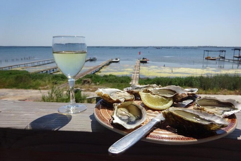 Oysters on the Thau Lagoon