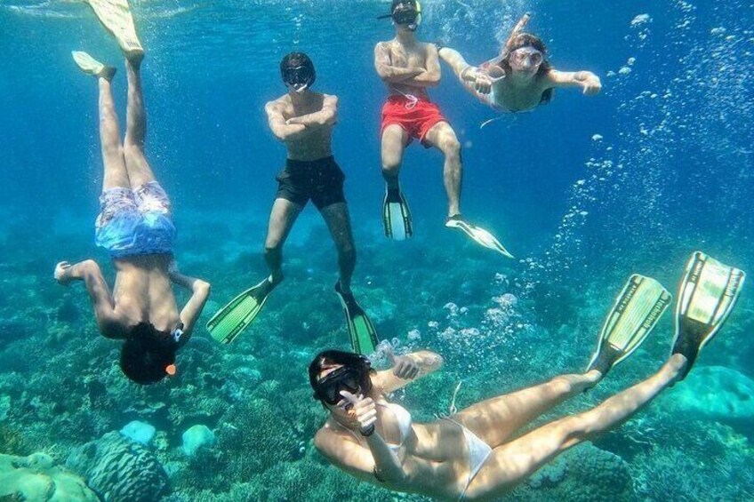 People snorkeling underwater with fins and masks. 3