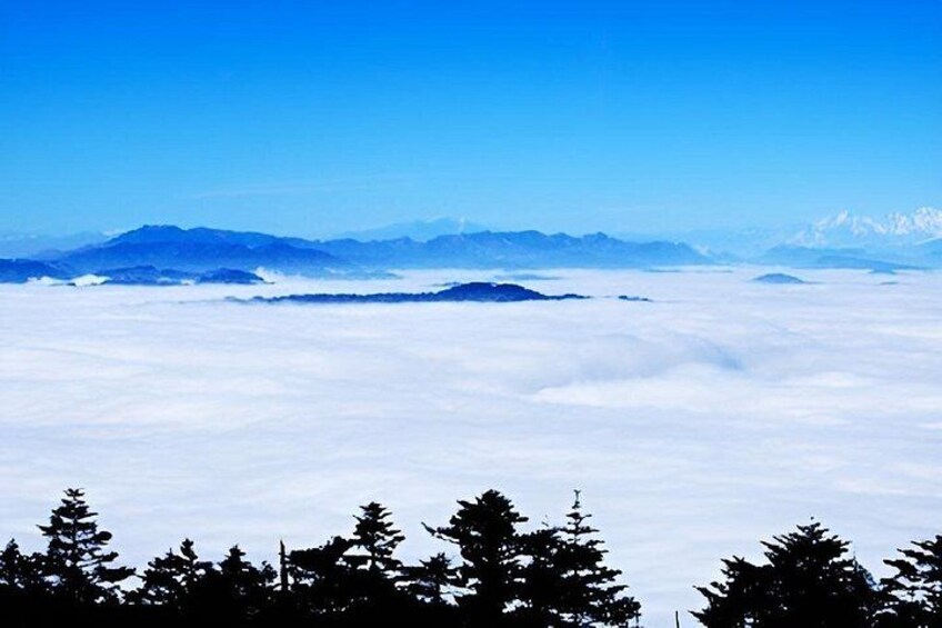 2 Days Mt Emeishan and Leshan Bullet Train Adventure 3