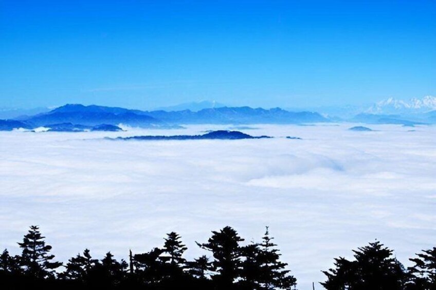 2 Days Mt Emeishan and Leshan Bullet Train Adventure 3