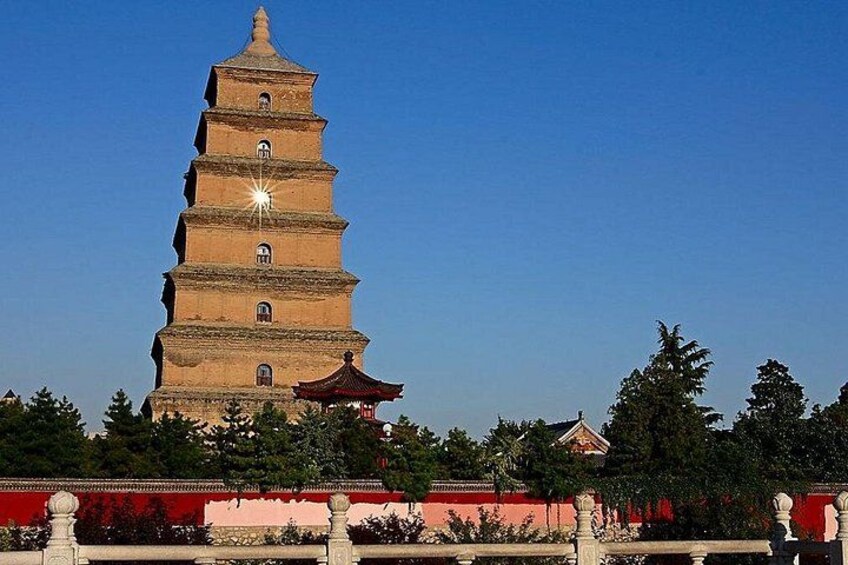 Terracotta Army, Big Wild Goose Pagoda&City Wall Full Day Tour 4