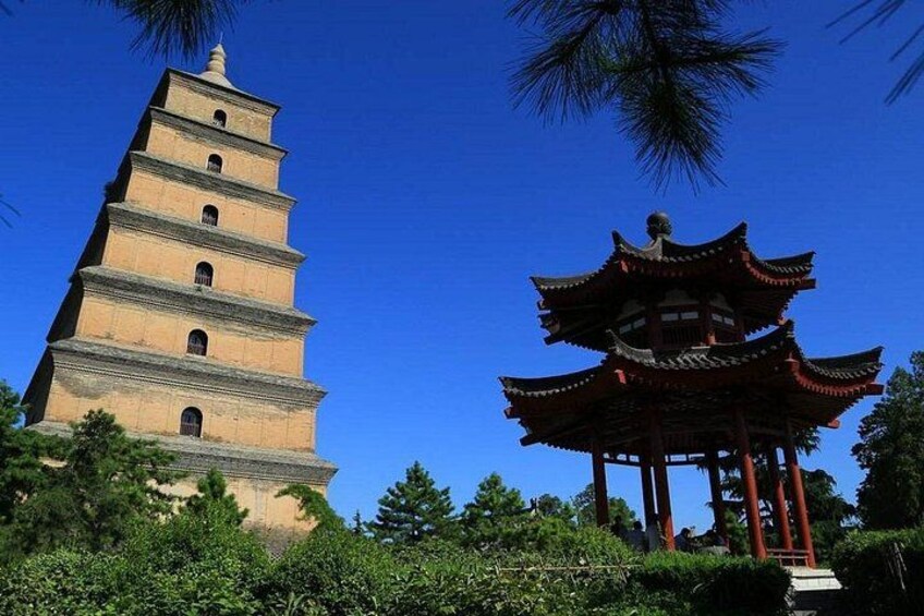 Terracotta Army, Big Wild Goose Pagoda&City Wall Full Day Tour 2
