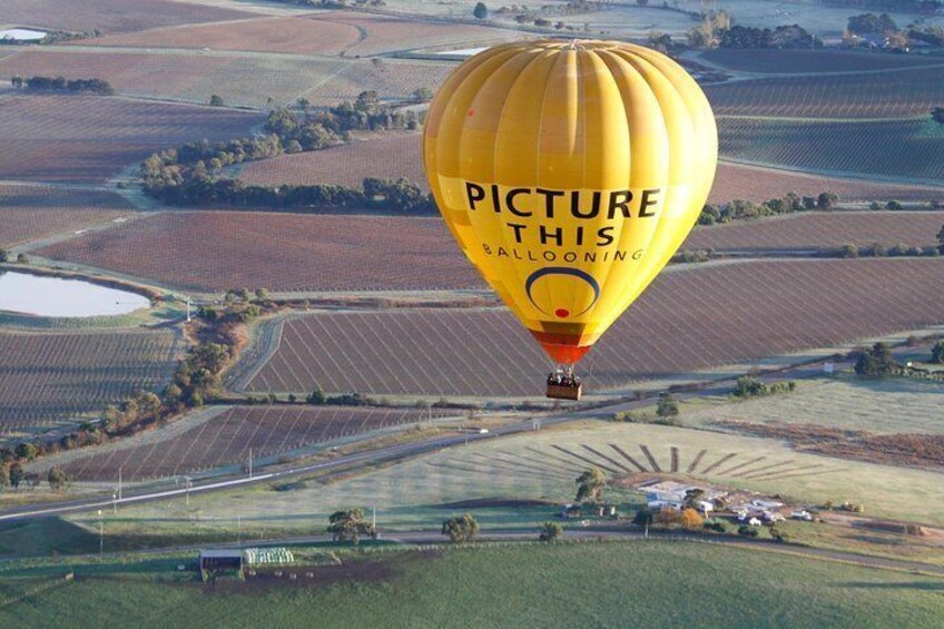 Yarra Valley sunrise balloon flight & champagne breakfast