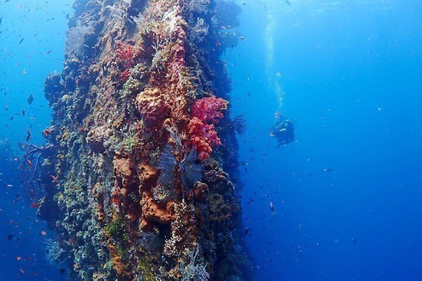 Bali Diving for Beginners: Tulamben Liberty Wreck 2
