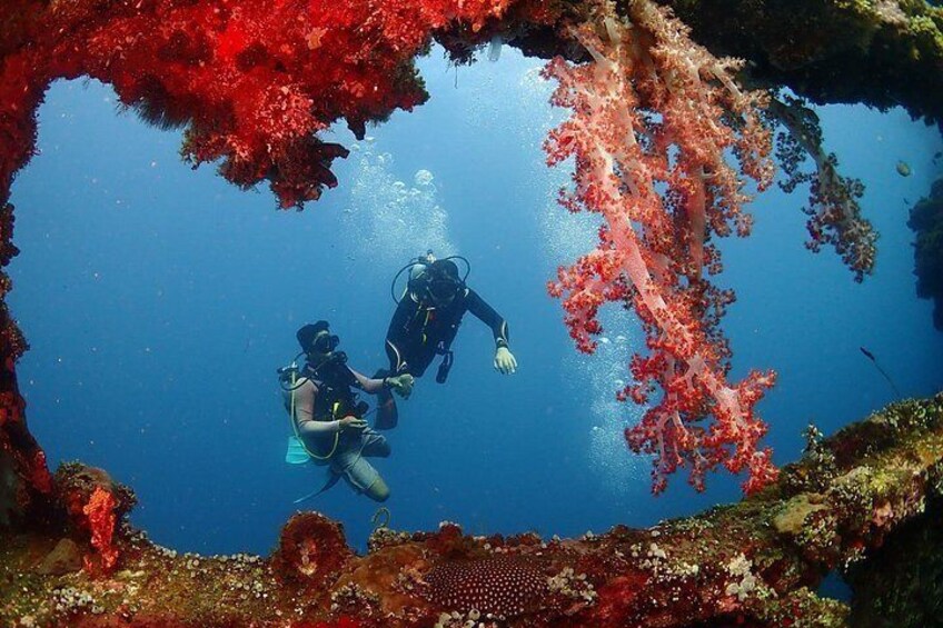Bali Diving for Beginners: Tulamben Liberty Wreck 5
