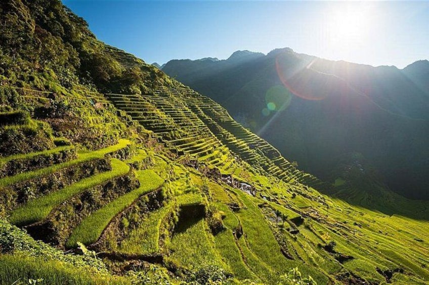 Terraced fields, a mountain, and a clear sky. 1