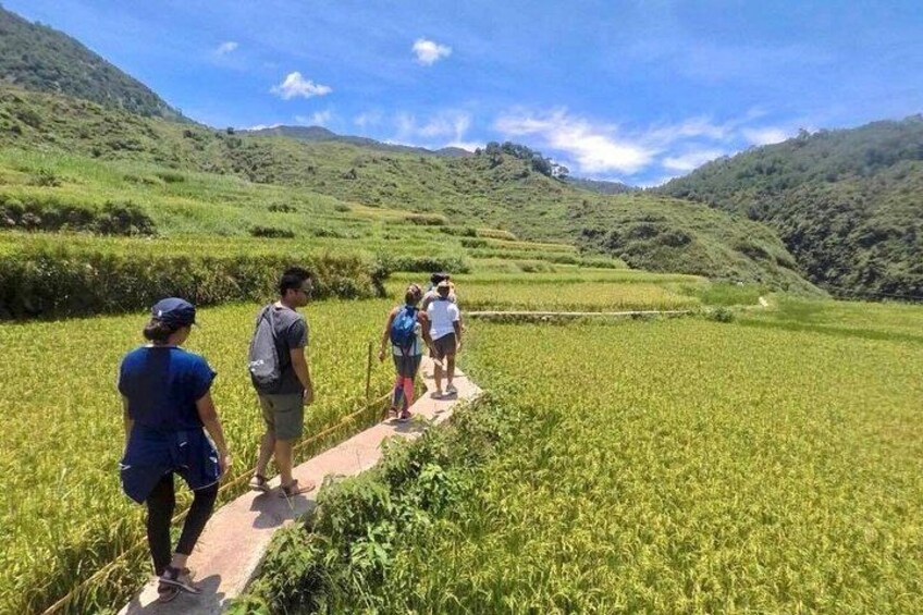 A group of people hiking on a narrow path through a lush green valley with terraced fields and hills in the background. 4