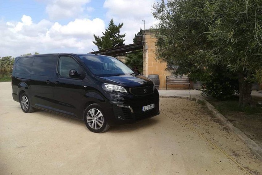 Una camioneta negra estacionada en un camino de hormigón, con un muro de piedra y un árbol al fondo. 2