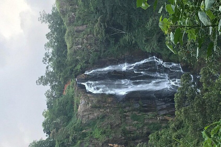 Sri Lanka tours 12-Day wildlife Tour with driver,Car or Van and accommodations 4
