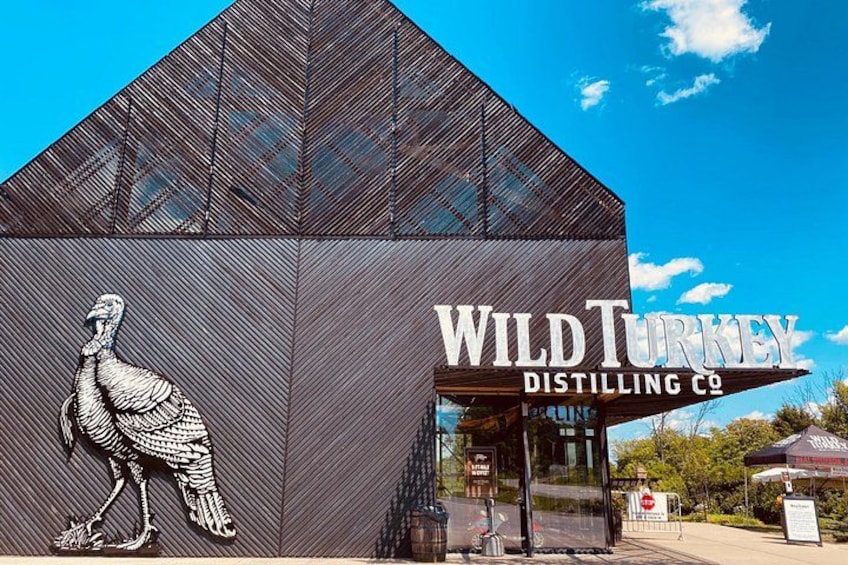 Wild Turkey - New Process COVID-19 2