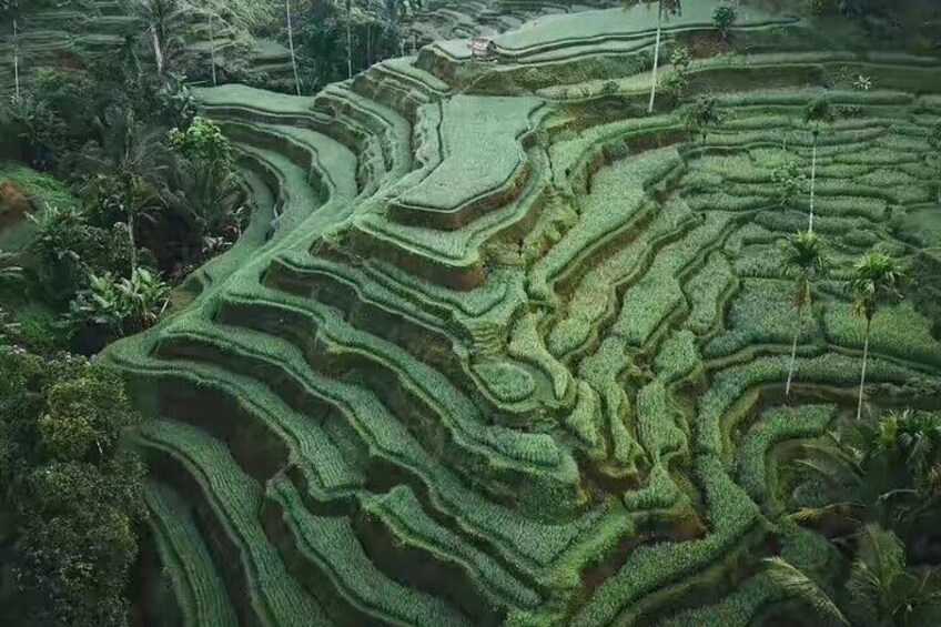 Bali Instagram Tour - All Inclusive 2