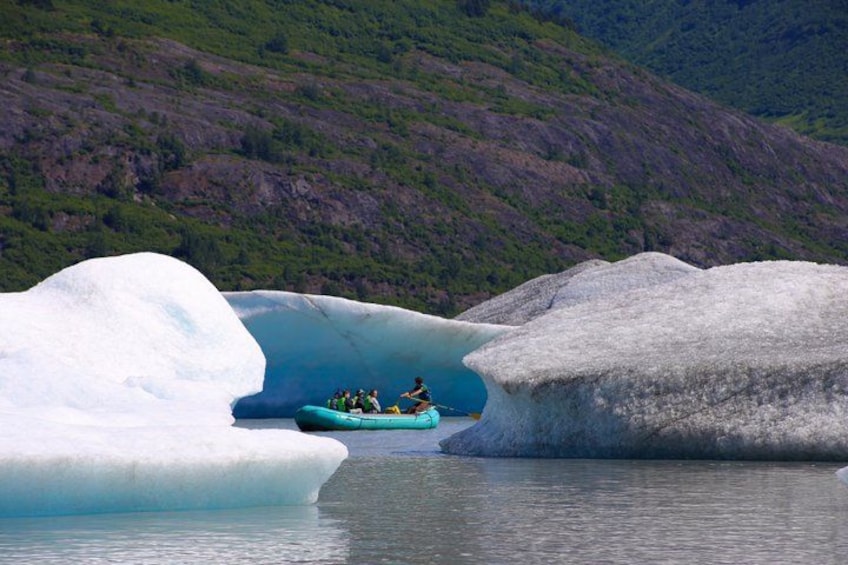 Bears, Trains, & Icebergs Tour 2