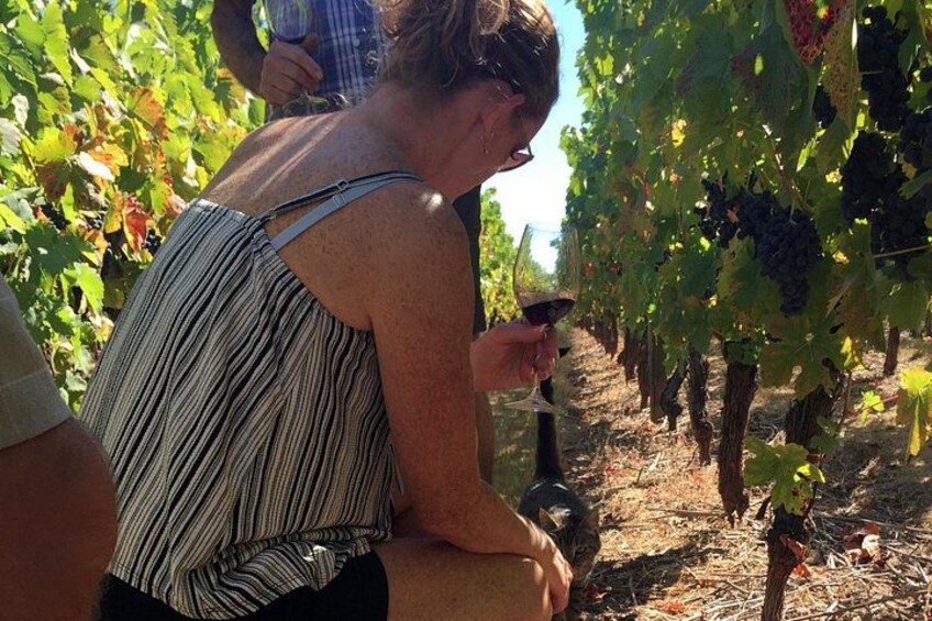 Willamette Valley Wine & Whisky 2